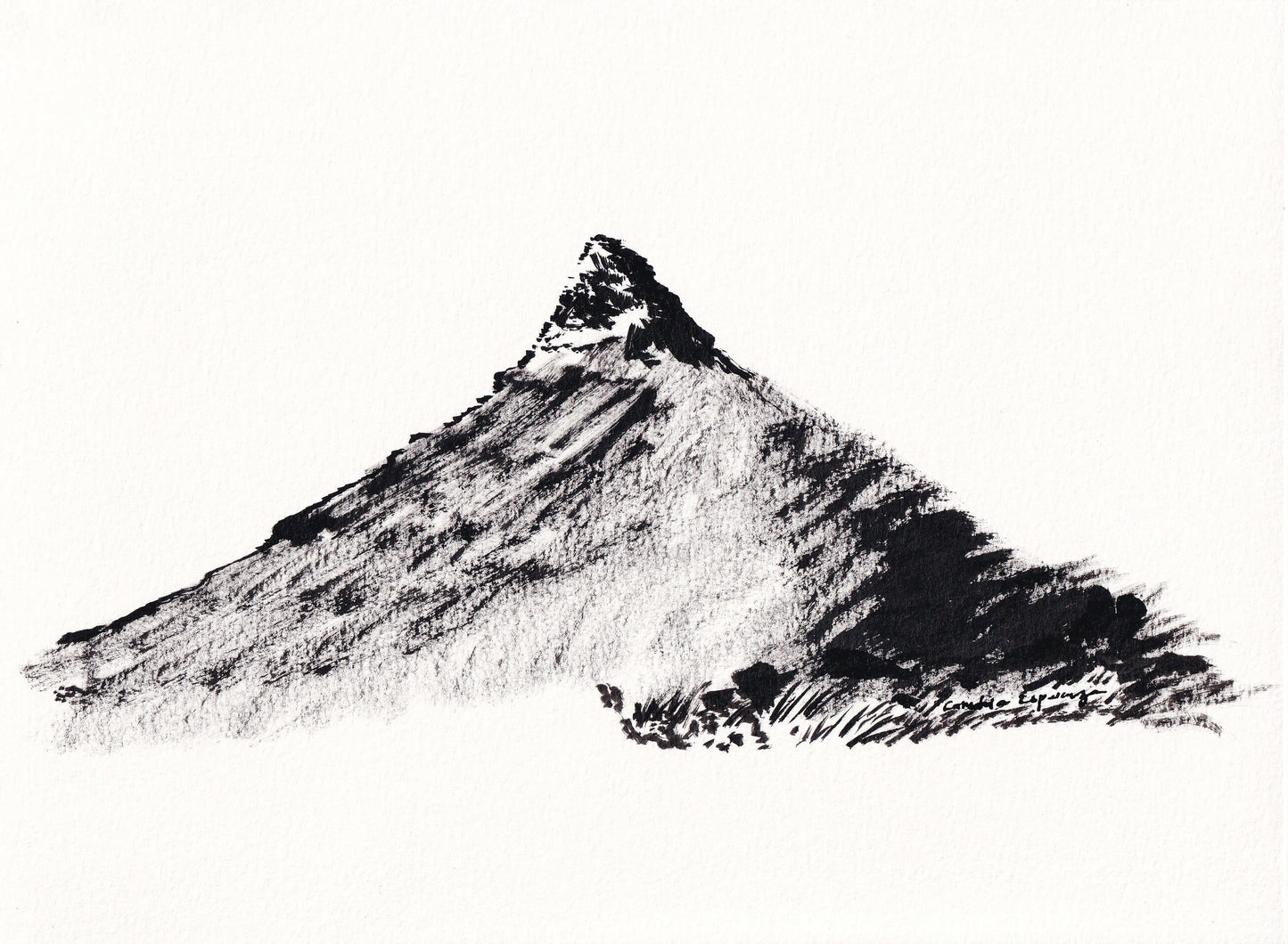 Sunny Lion's Head